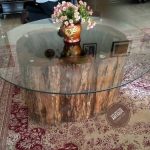 Tree Trunk Coffee Table