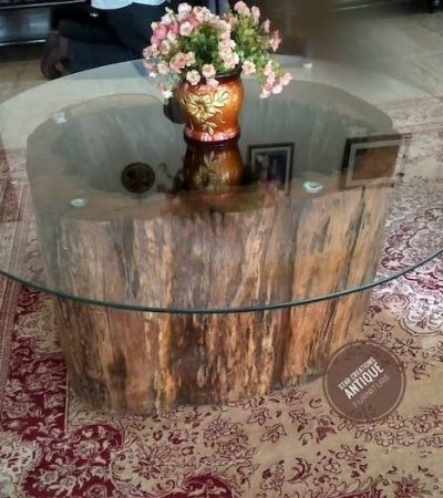 Tree Trunk Coffee Table