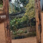 Standing Sleeper Mirror