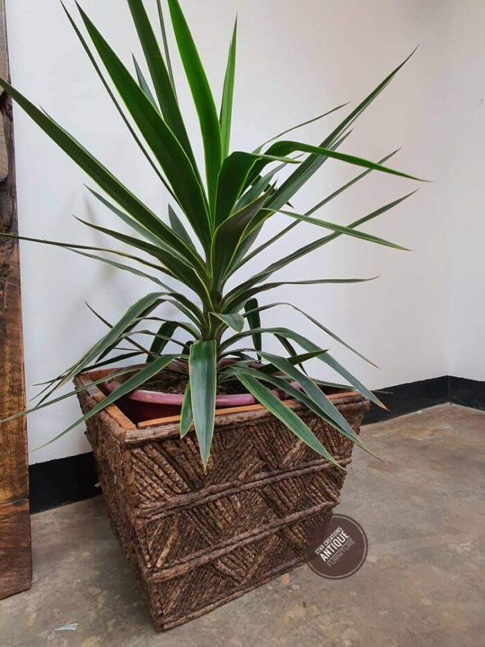 Palm fronds Planter