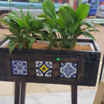 Tiled Planters with Plants