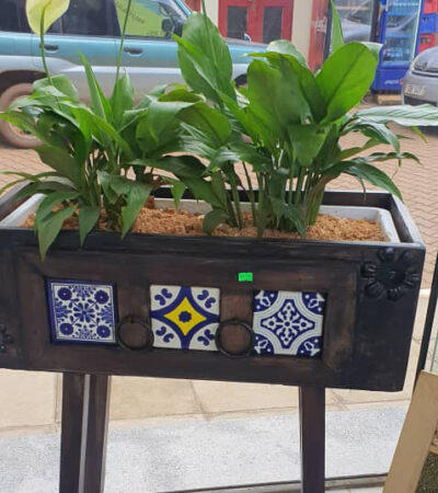 Tiled Planters with Plants