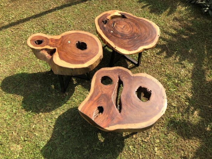 Live Edge Tables